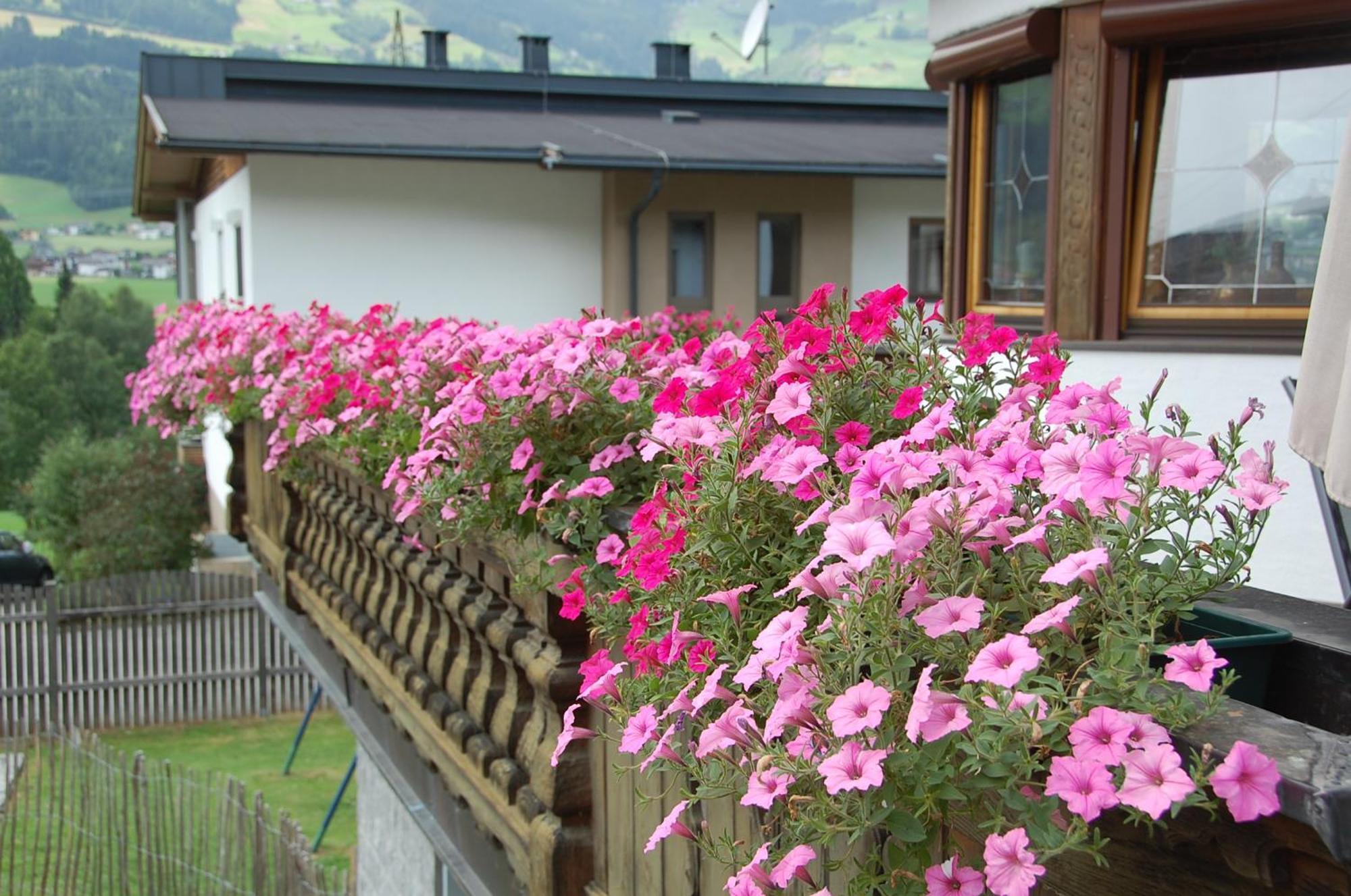 Haus Hart Im Zillertal 6 Personen Villa Bagian luar foto